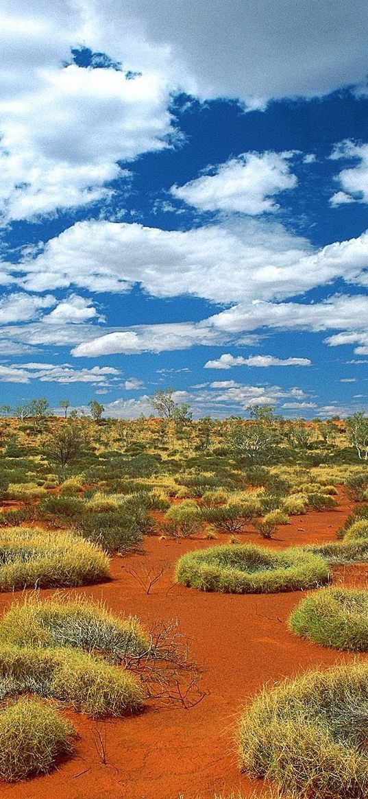 vegetation, sand, clouds, sky, australia