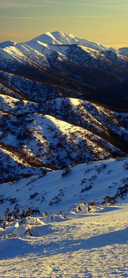 mountains, snow, vegetation, slopes, australia