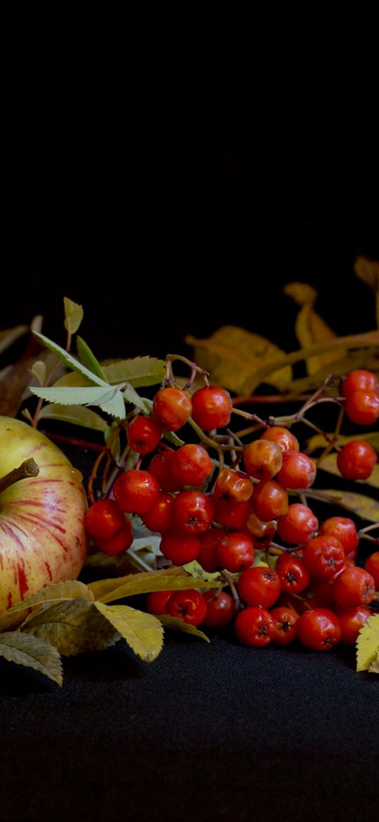 mountain ash, apple, still life, leaves