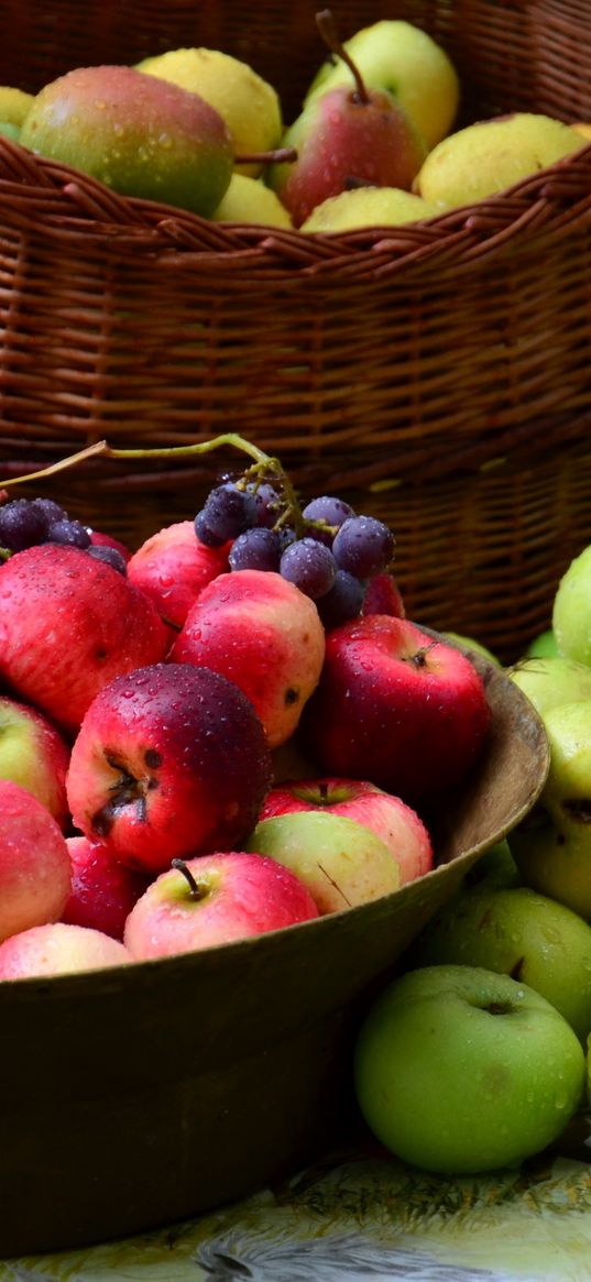 grapes, apples, basket, many