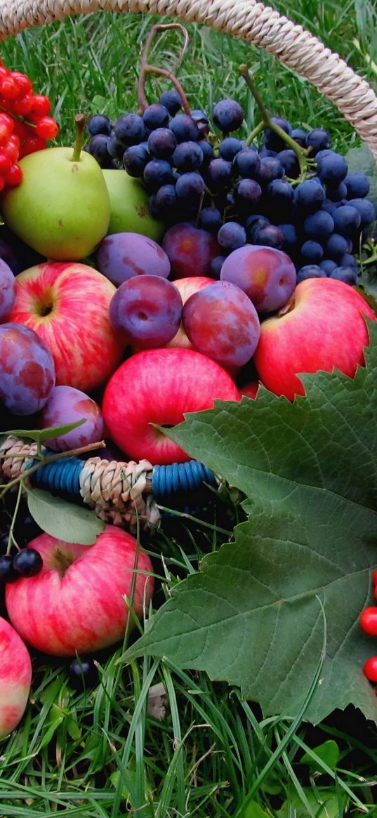 plums, apples, grass, flowers