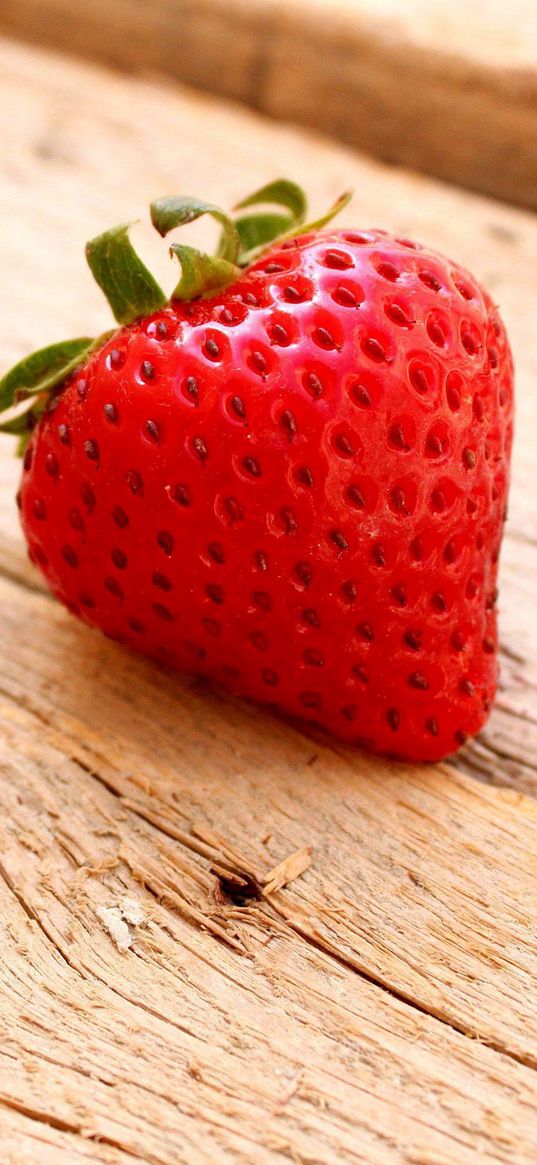 strawberry, berry, ripe