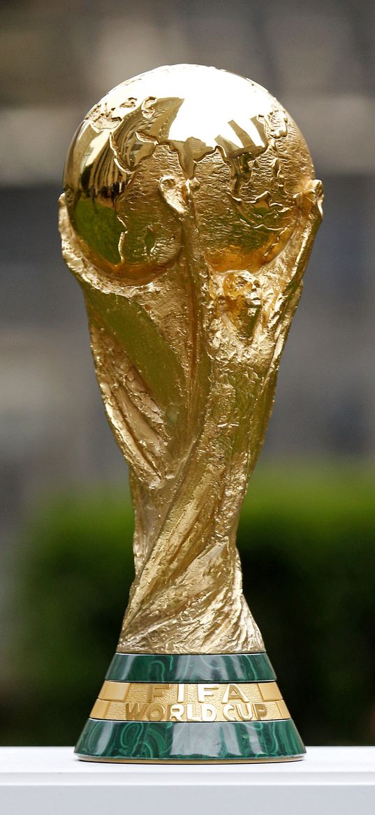 football world cup, football, championship, award