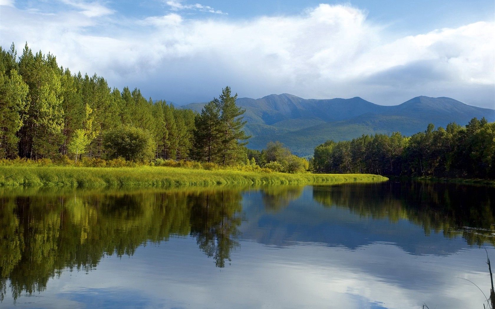 trees, coast, lake, siberia, wood, reflection