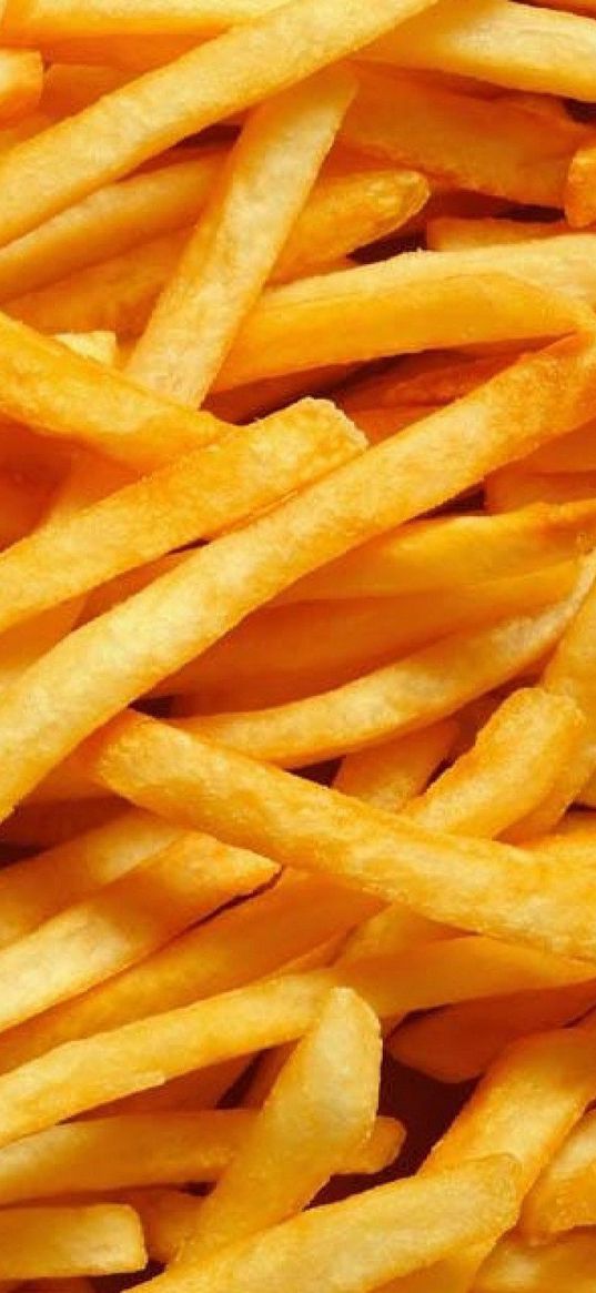 french fries, fried, slices