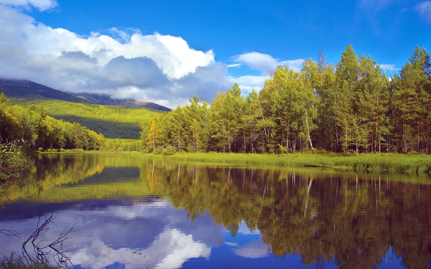 trees, coast, lake, siberia, wood, reflection, sky, clouds