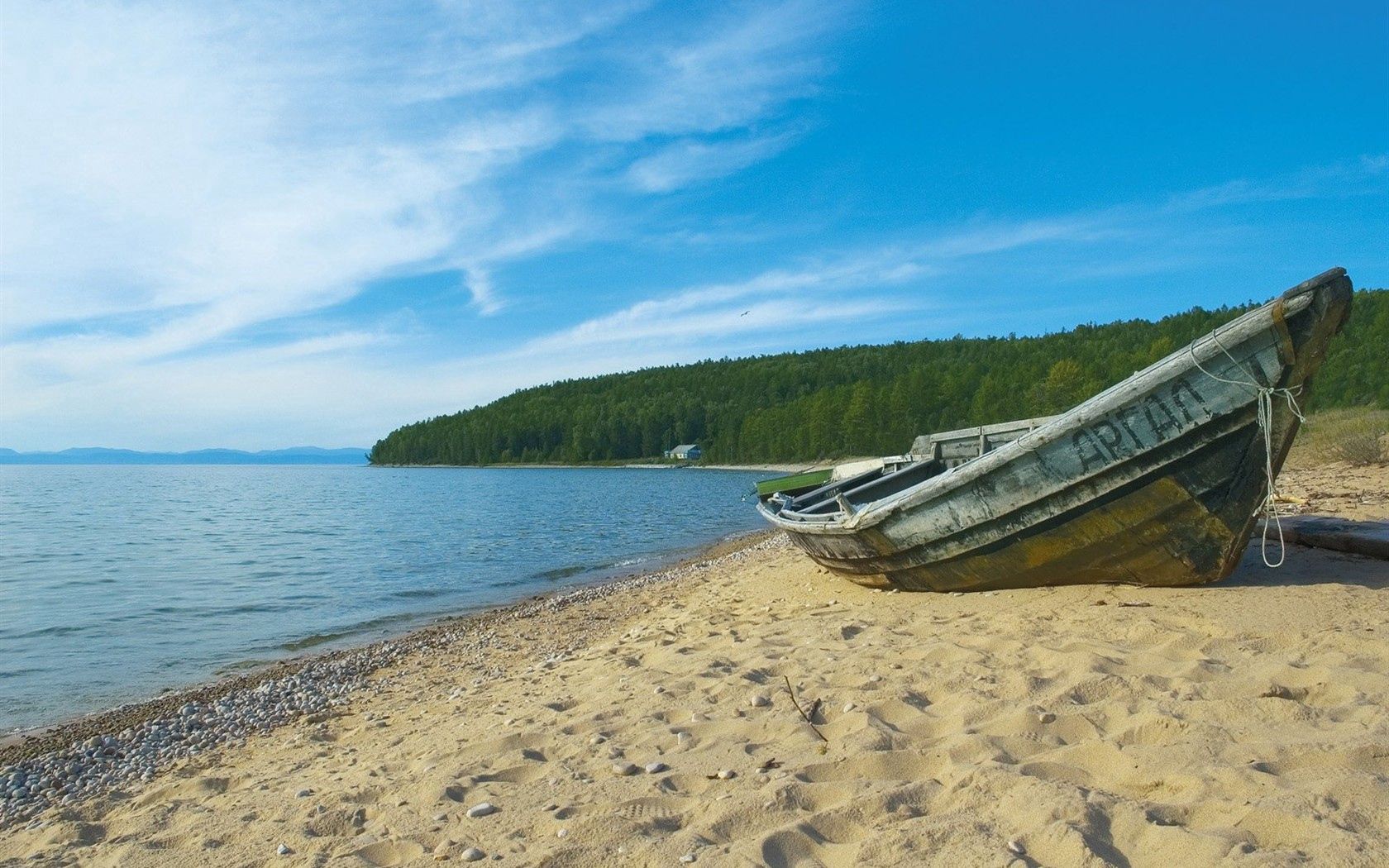 trees, coast, river, siberia, wood, sand, boat