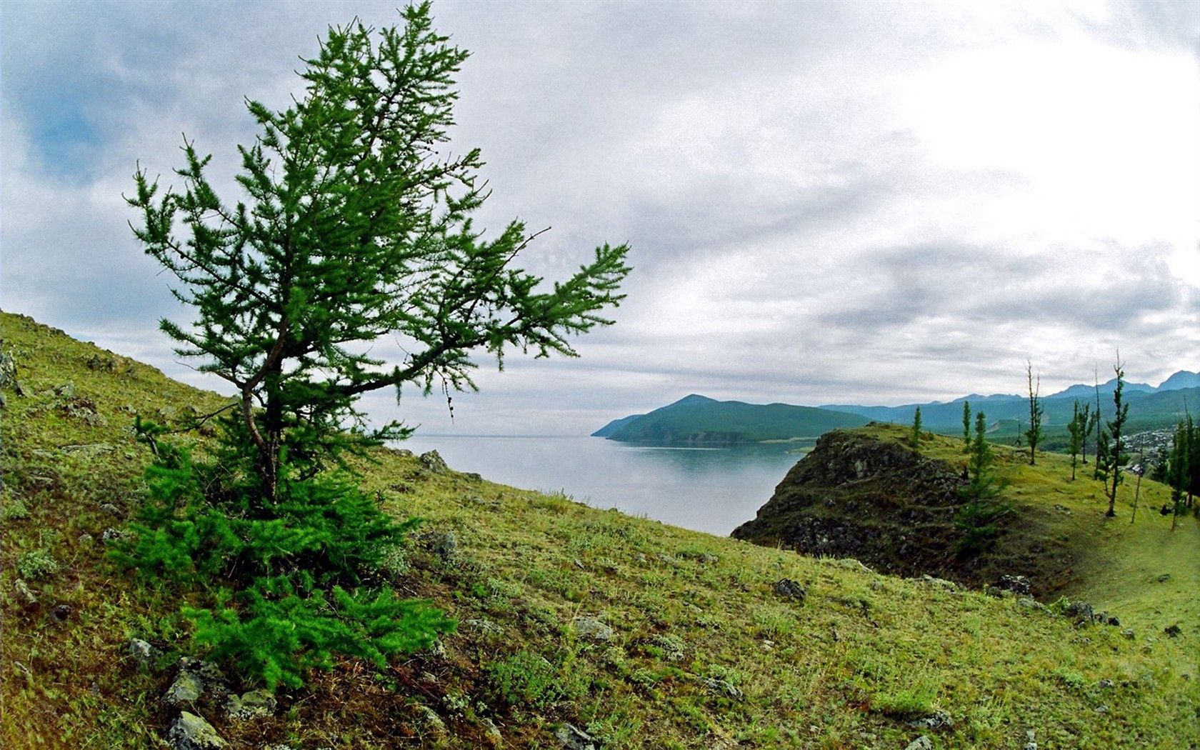 coast, tree, stones, earth, grass, lake, siberia