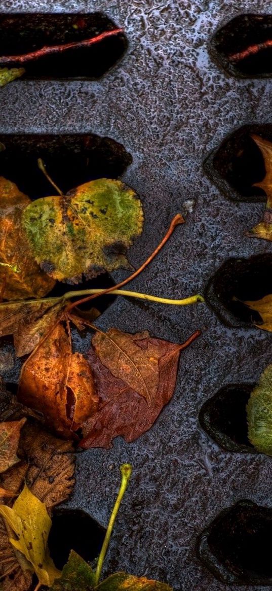 leaves, yellow, autumn, dampness, lattice, iron, dirt