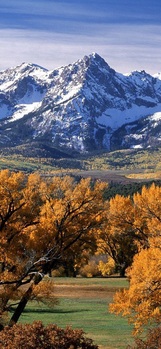 trees, autumn, crones, yellow, mountains, tops, colorado