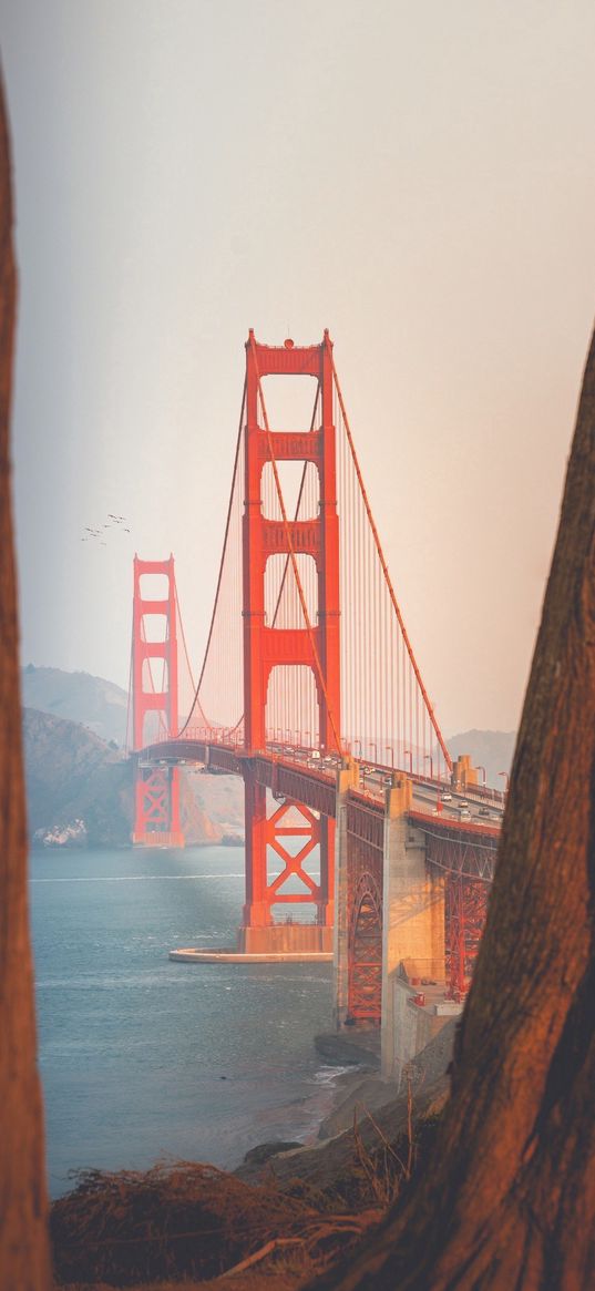 golden gate, bridge, san francisco, sea, mountains, sky, landscape