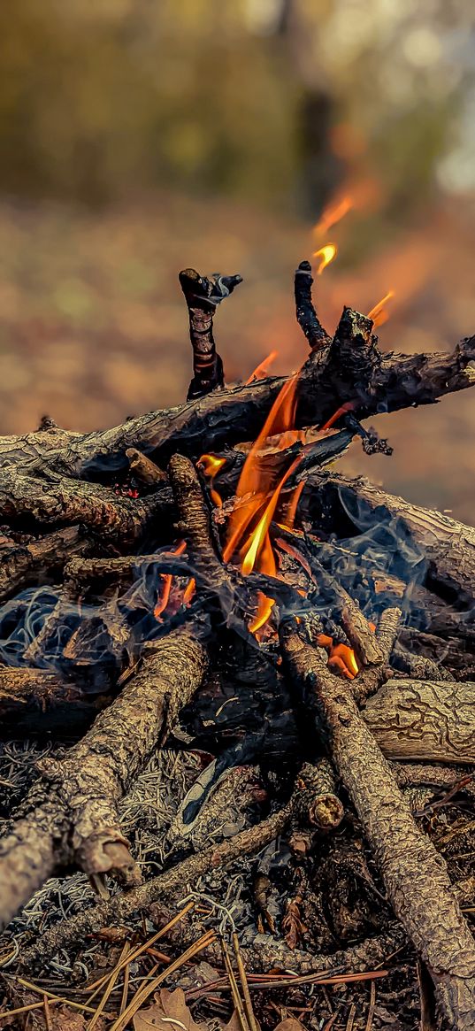 bonfire, fire, firewood, hiking, bokeh