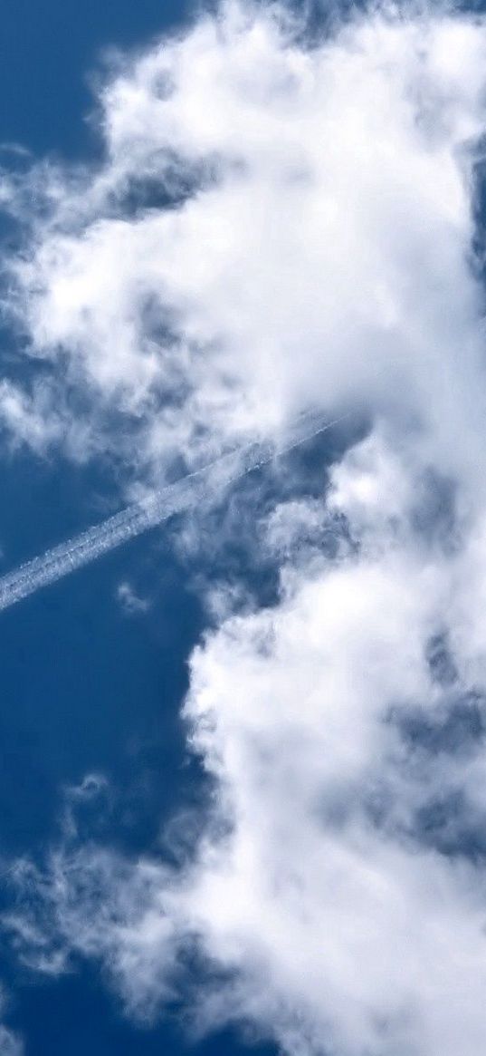 plane, trace, sky, clouds, blue