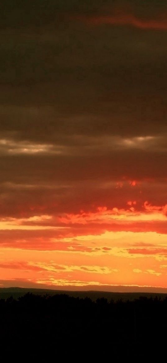 clouds, sky, horizon, outlines