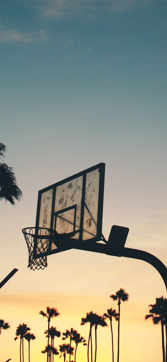 basketball stand, basketball, sports, silhouettes, palm trees