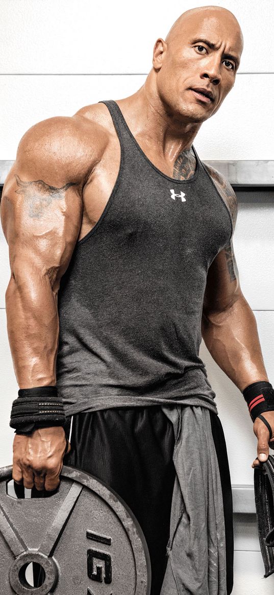 dwayne johnson, actor, man, muscular, strong, gym