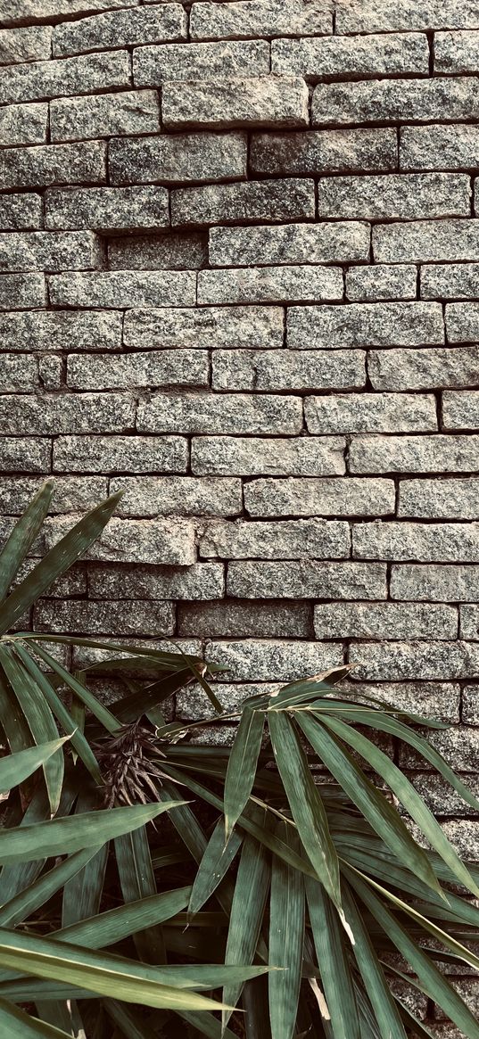 nature, stones, leafy, green, bamboo, wall