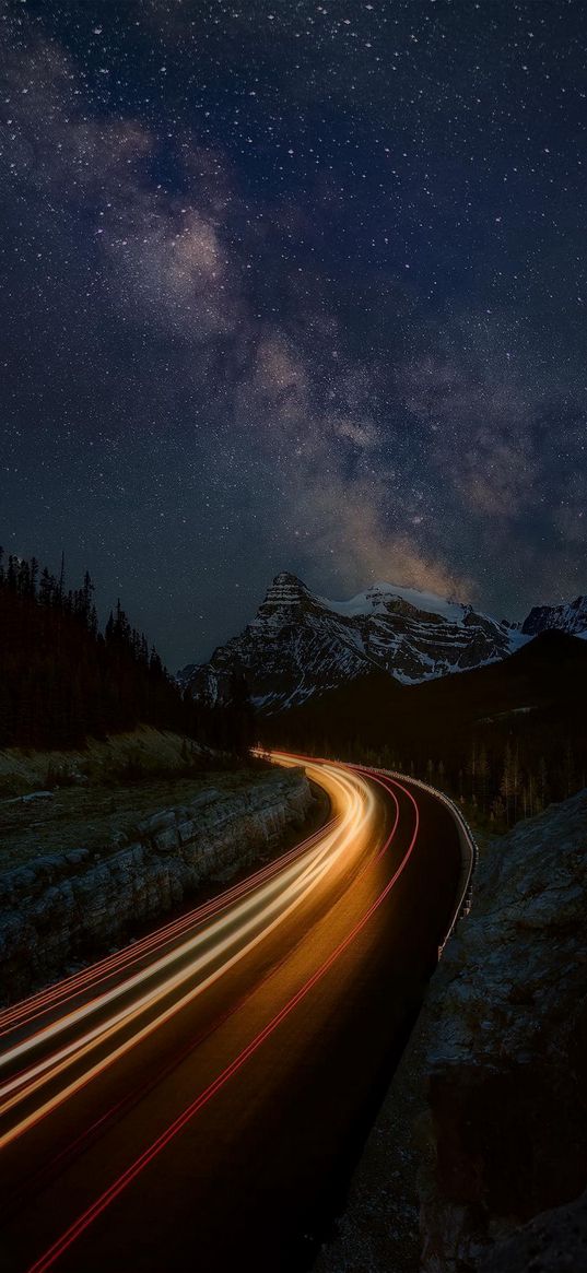 road, timelapse, savannah, trees, forest, hills, snow, night, milky way, starry sky