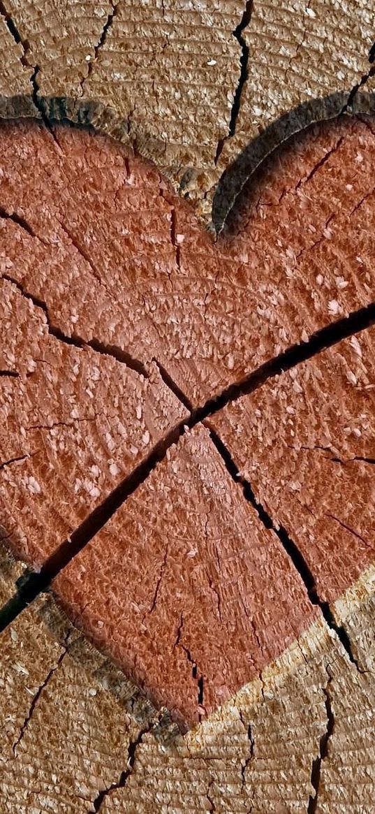 heart, tree, pink, brown