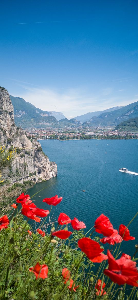 poppy, flowers, sea, boat, mountains, city, sky, landscape, summer, nature