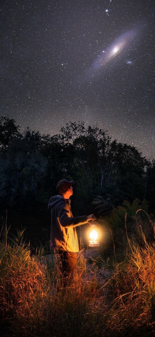 savannah, grass, trees, human, lantern, starry sky, night