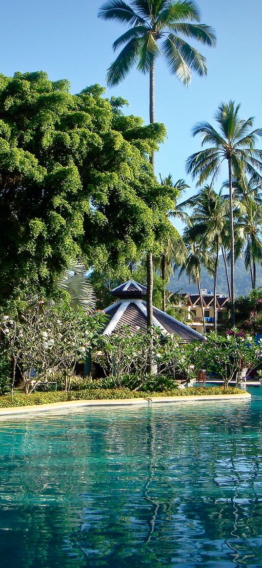 park, phuket, thailand, pool, palms