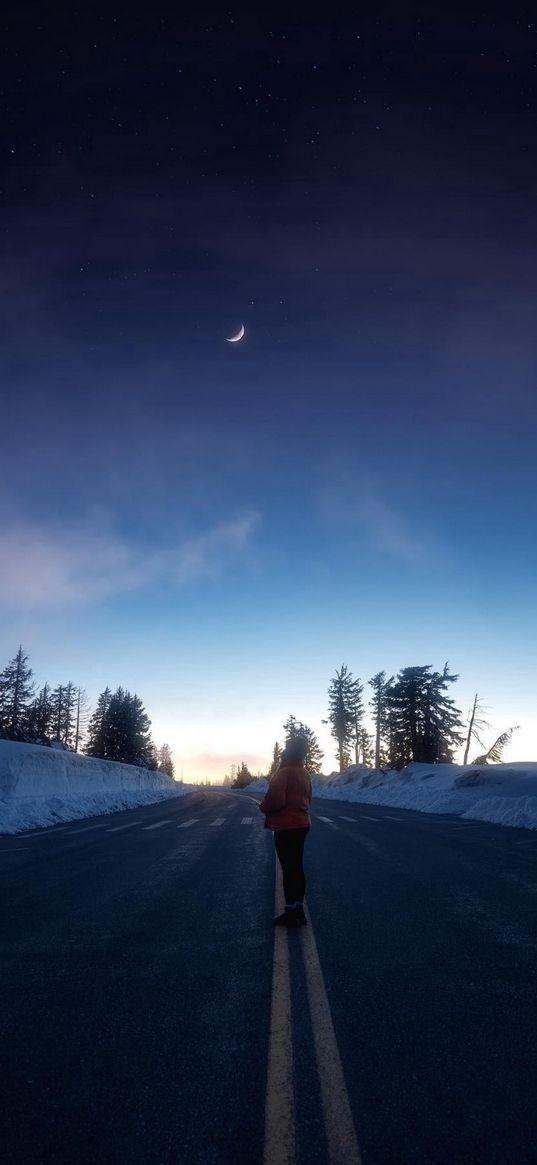 human, road, snow, trees, blue sky, clouds, moon