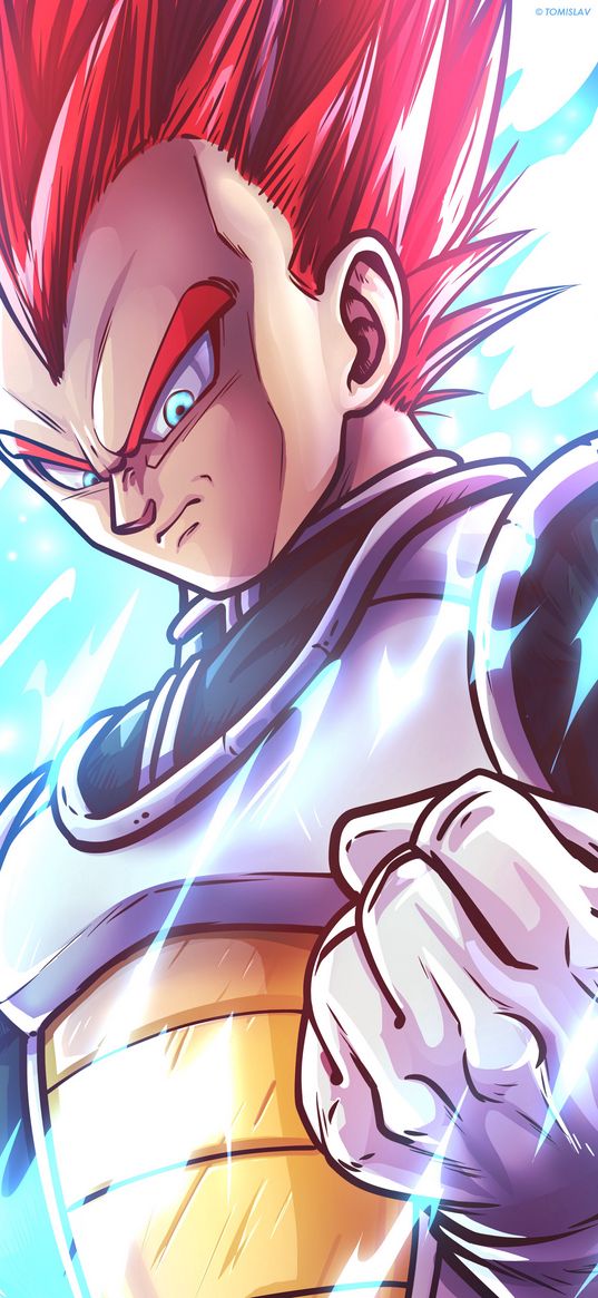 vegeta, dragon ball, anime, character, fist, anger