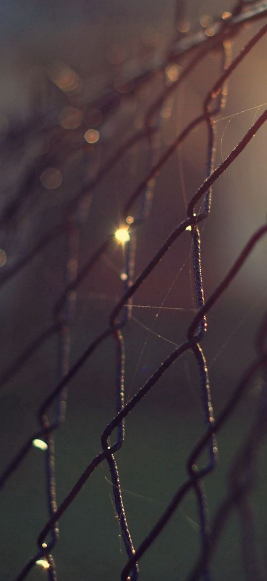 grill, netting, fencing, metal, close-up, night, lights, bokeh, web