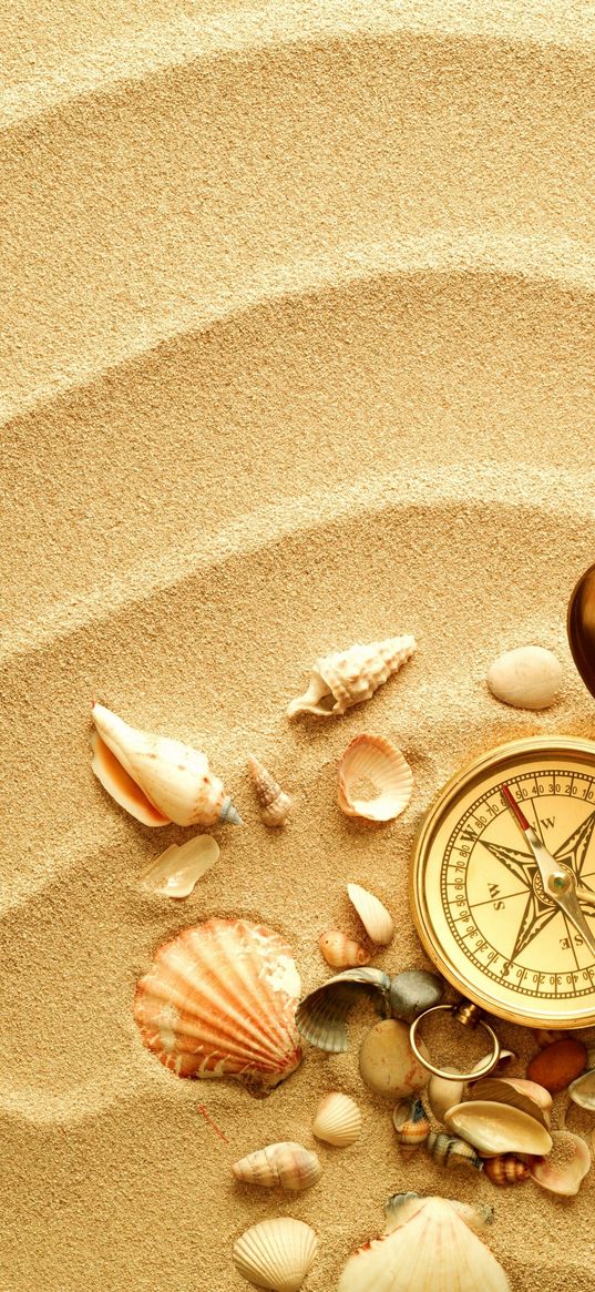 compass, shells, sand