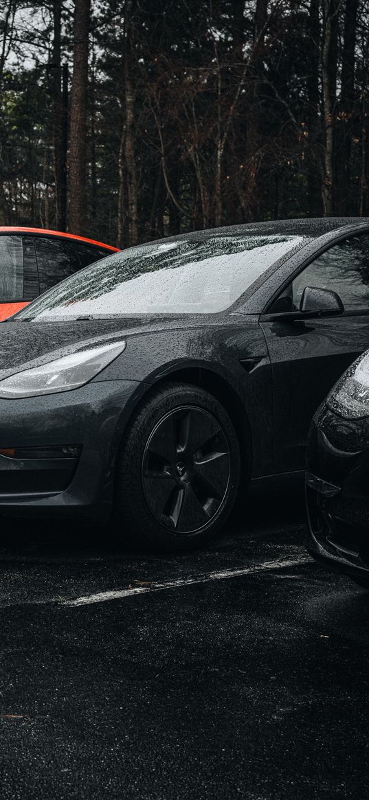 tesla, car, black, wheel, drops, rain