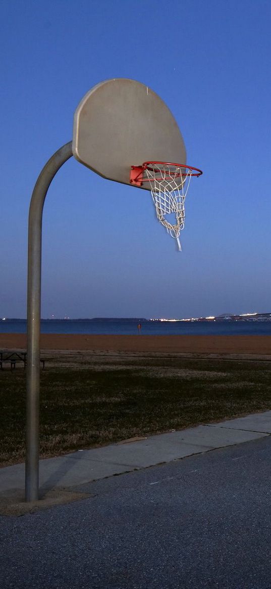 basketball, shield, ground