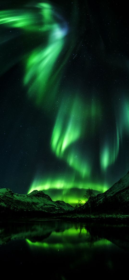 mountains, sky, northern lights, green, night