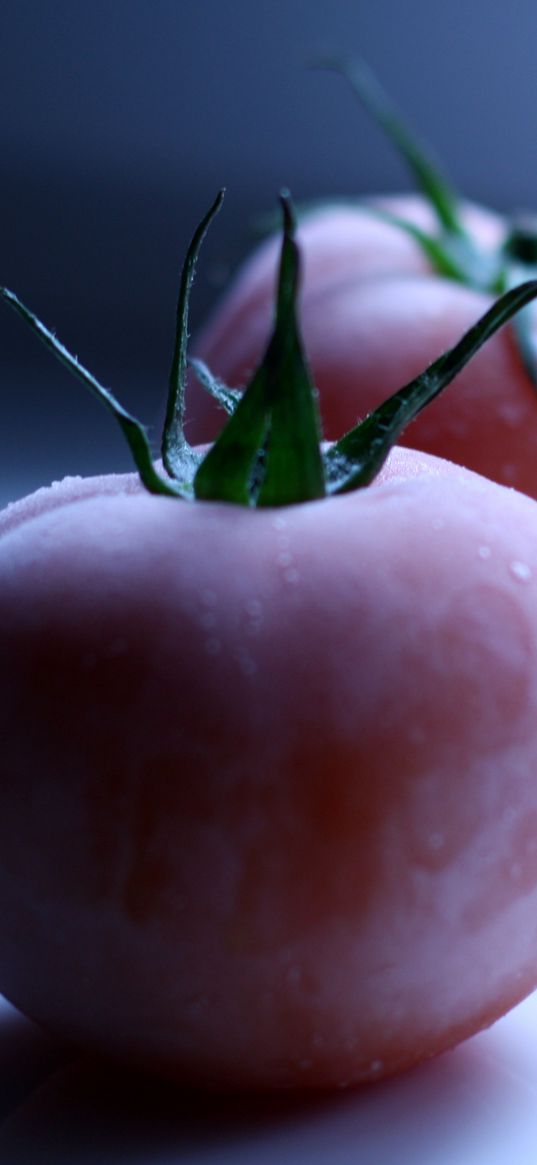 beverages, tomatoes, ripe