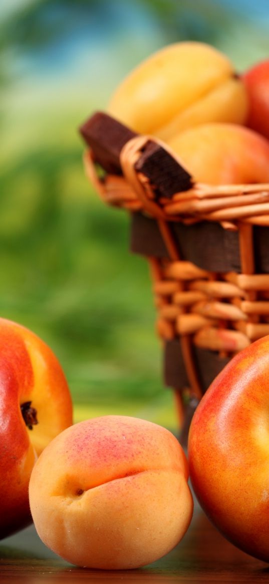 peaches, nectarines, apricots, fruit, basket