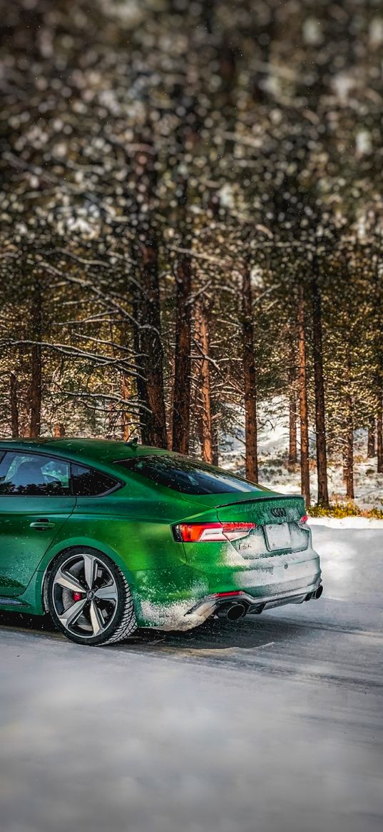 car, audi rs5, a5, s5, snow, winter, green, trees