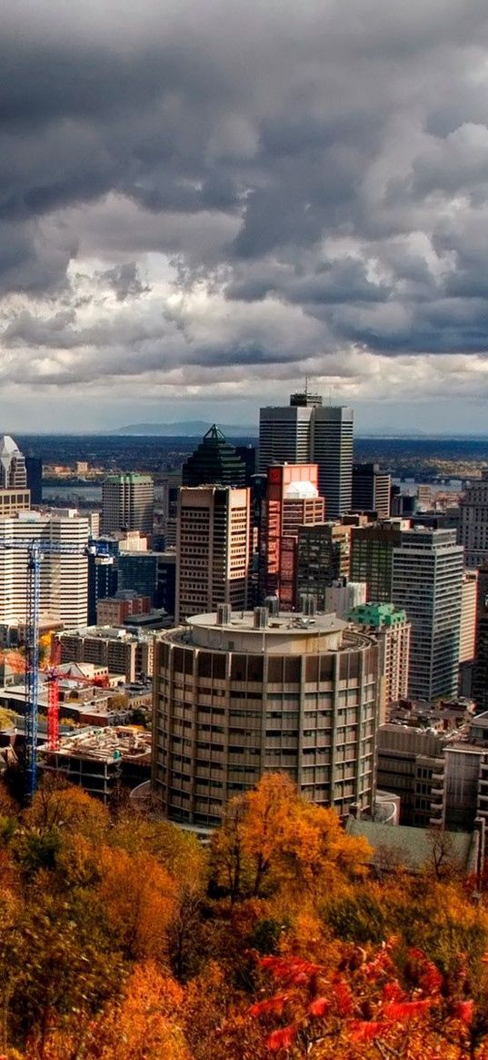 city, sky, building height, trees