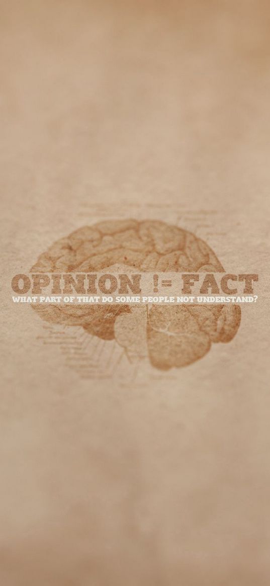 opinion, minimalism, sign, phrase, meaning, brain