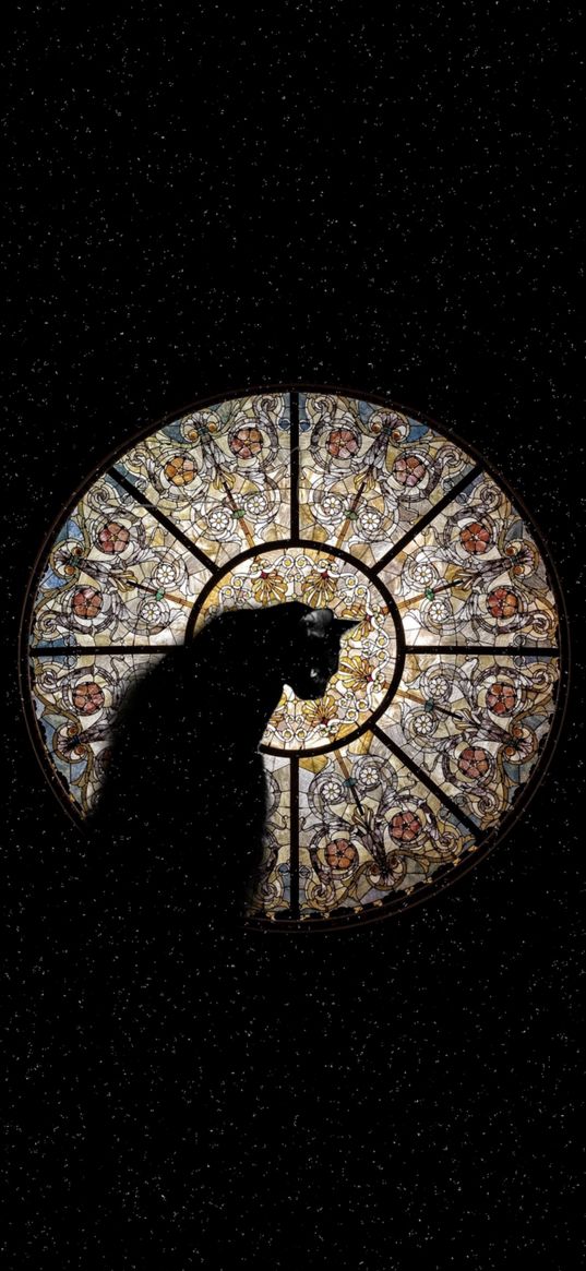 cat, window, stained glass, mosaic, stars, cosmos, art