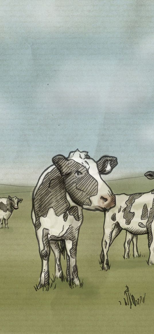 drawing, cows, milk, prairie