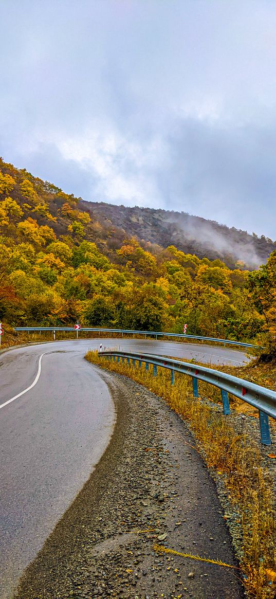 road, road sign, trees, forest, hill, clouds, sky, autumn, nature