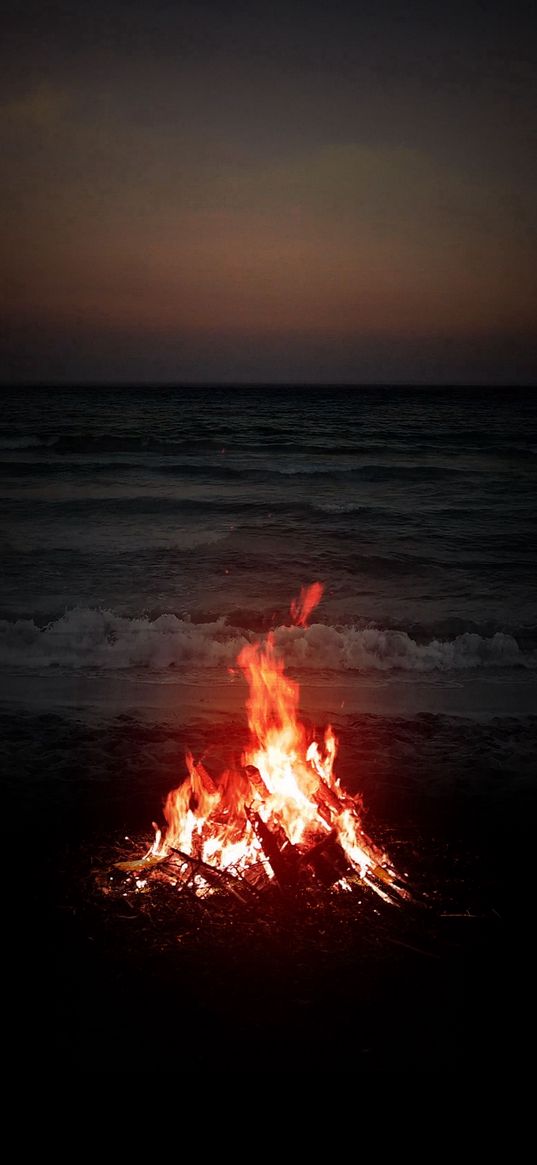 bonfire, fire, beach, shore, waves, sea, horizon, night, nature