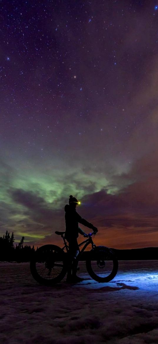 cyclist, bushland, trees, lights, night, adventure, clouds, stars