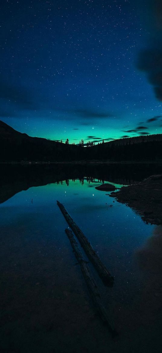 lake, reflection, northern lights, shore, forest, hills, sky, stars, night, landscape