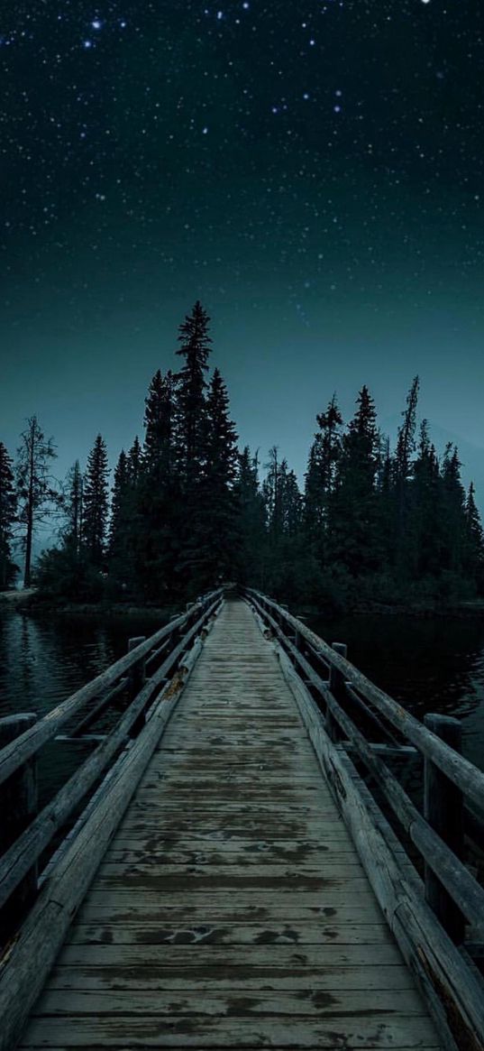 path, lake, trees, sky, stars, night, dark