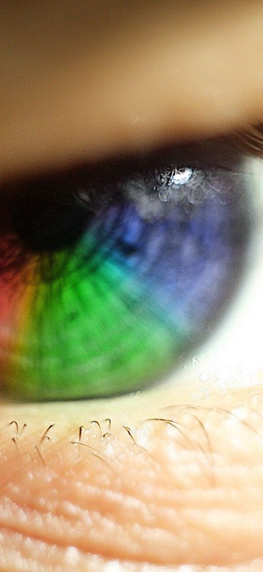 eye, rainbow, eyelashes