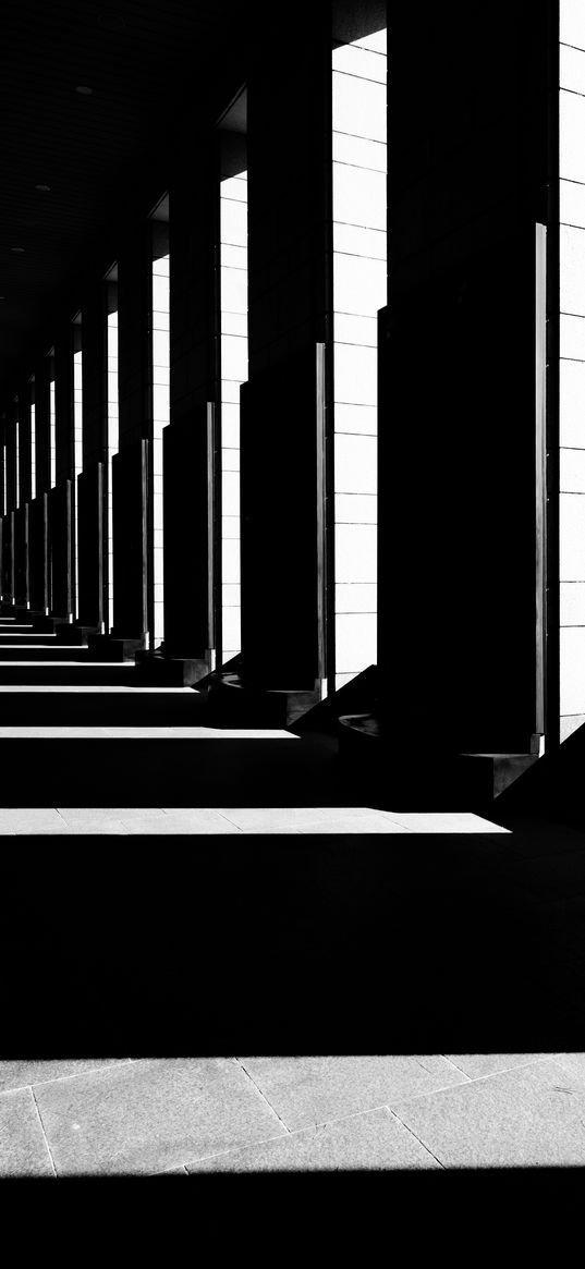 columns, light, shadows, black and white