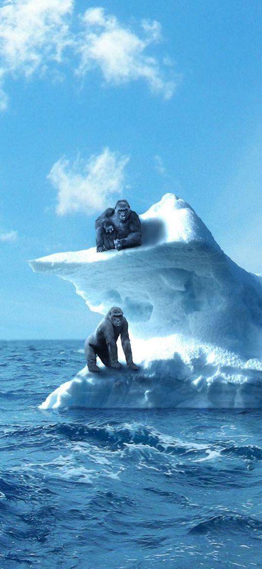 gorilla, iceberg, sea, sky