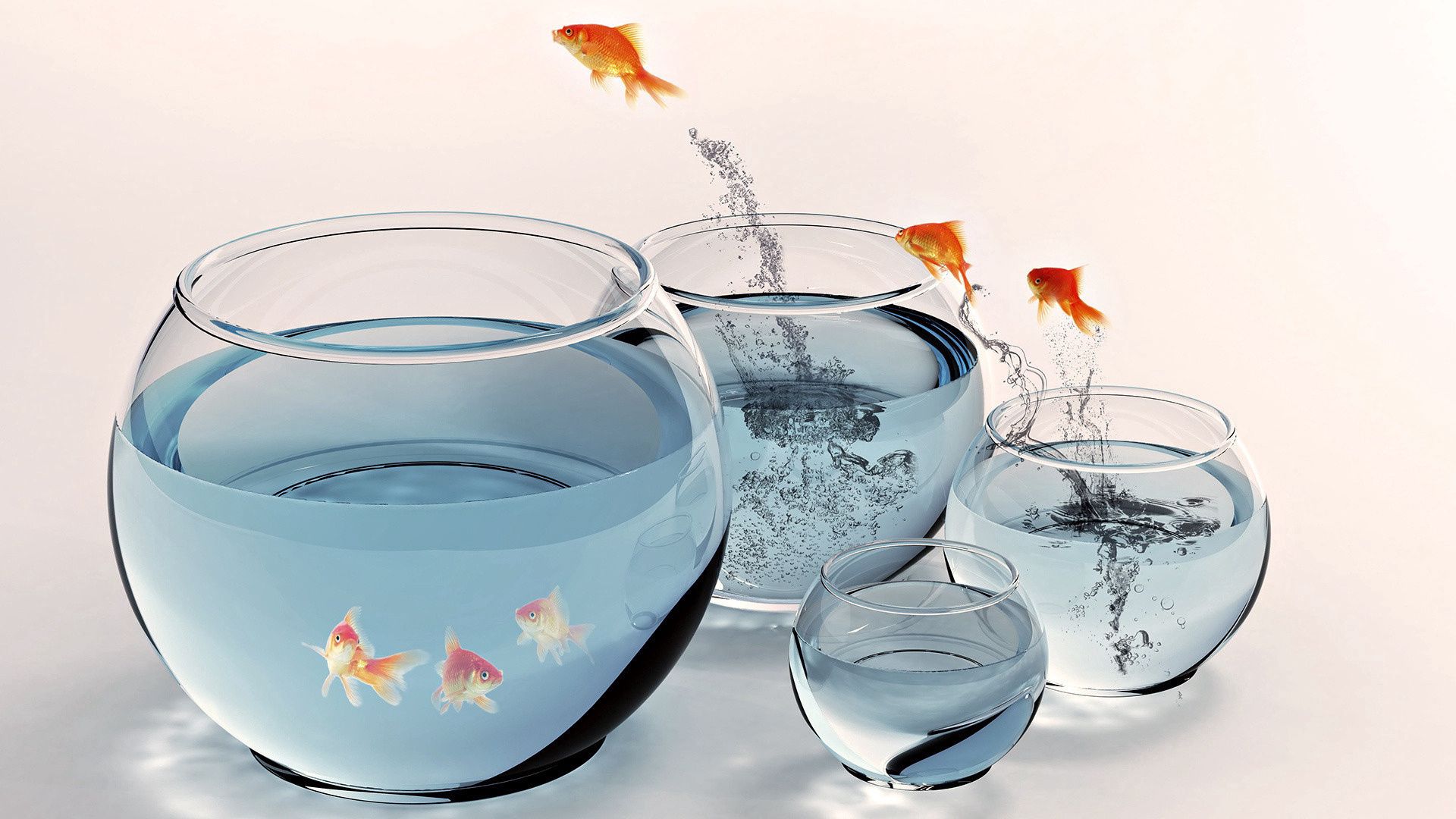 goldfish, aquarium, water, jump