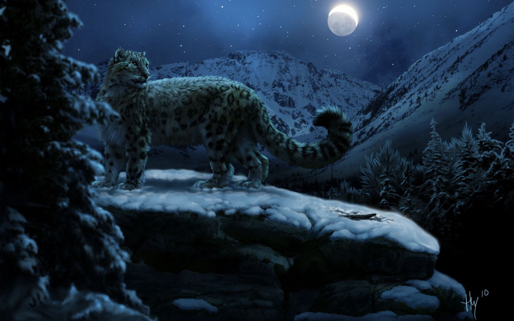 snow leopards, moon, winter